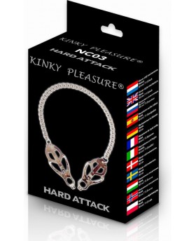 Kinky Pleasure - Hard...