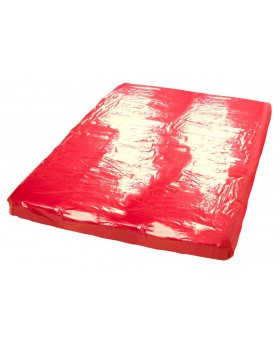 Vinyl Bed Sheet red...