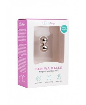 Easy Toys Magnetic balls -...