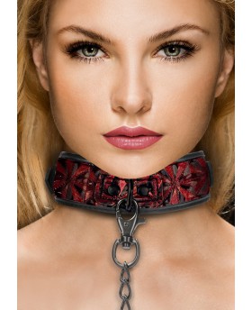 Luxury Collar with Leash...