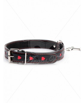 Hearts Collar And Leash...
