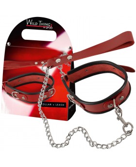 Leather Collar and Leash...