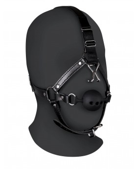 Head Harness with...